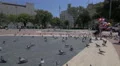 Pigeons flying in Plaza de Catalunya, Barcelona 4k or 4k+ Resolution