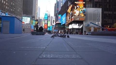 Pigeons flying through camera NYC times square Stock Footage 127136159