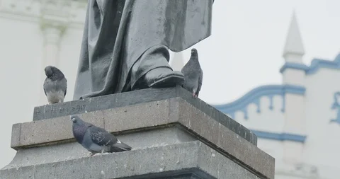 Pigeons at the foot of the statue Stock Footage 122866418