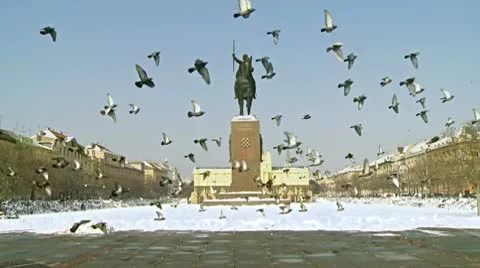 Pigeons in front of monument of King Tomislav Stock Footage 10749283