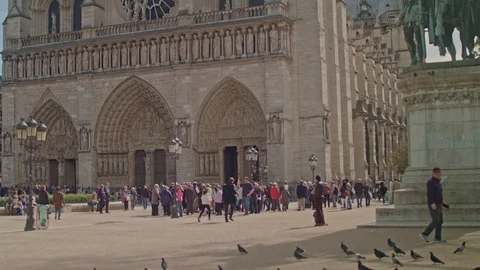 Pigeons in front of Notre Dame de Paris  Video stock 124401031