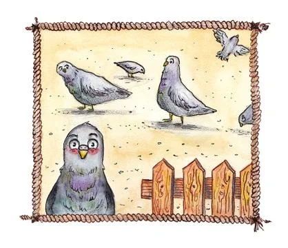 Pigeons Stock Illustration