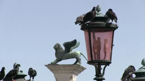 Pigeons on lamp post in downtown Venice Stock Footage