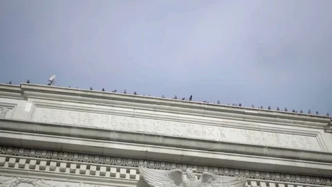 Pigeons lined up perched on Washington Square Park arch in NYC Stock Footage 70870830