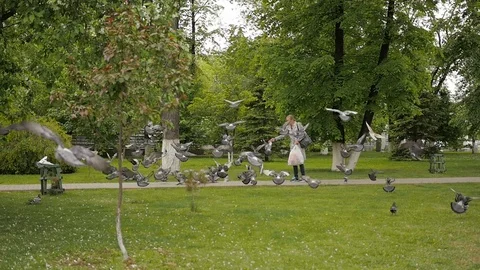 Pigeons in the Park - 5 Stock Footage 91617417