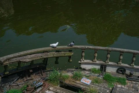 Pigeons Perching On The Railing Of A Shipwreck At Charlestown Harbour Cornw.. Stock-Fotos
