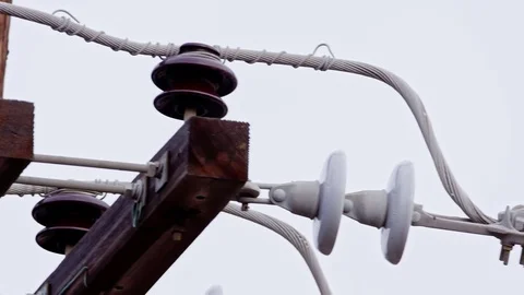 Pigeons on Power Lines Stock-Footage 79740070