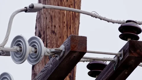 Pigeons on Power Lines Stock-Footage 79740837