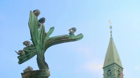 Pigeons preening on a statue with bell tower in background Stock Footage 91011317