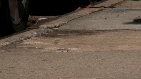 Pigeons quickly fly away from sidewalk, day. 스톡 동영상 108343348