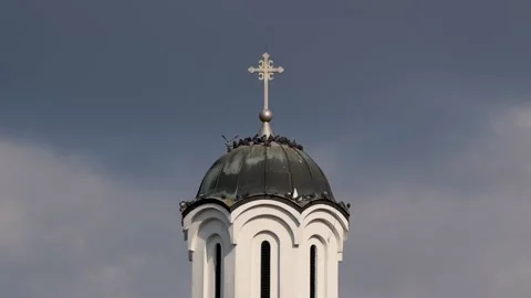 Pigeons resting and basking in sun on church copper roof Stock Footage 211816687
