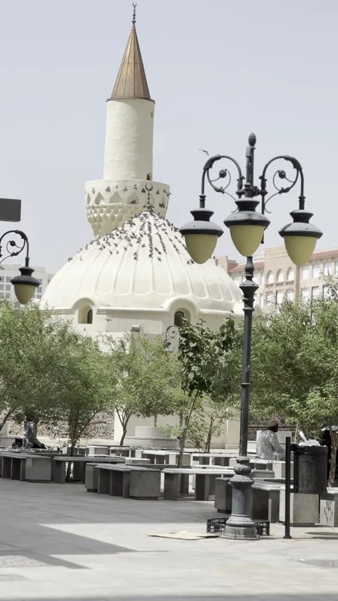 Pigeons Resting on White Mosque Dome and Minaret Tip Stock Footage 322121796