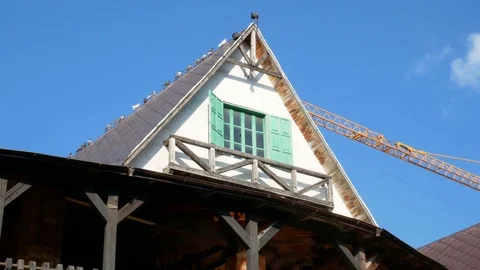 The Pigeons on roof Stock Footage 76902361