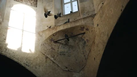 Pigeons sit and fly inside an old abandoned building. A crumbling church. Stock Footage 147692579