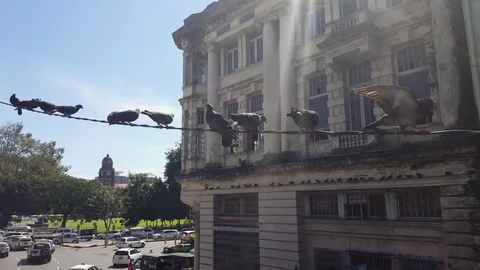 Pigeons sit on electric cable, Yangon traffic from above, building, sunny day Vídeos de archivo 77804912