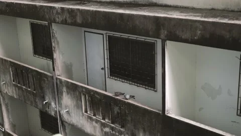 Pigeons sitting on a balcony. Stock Footage 197365598