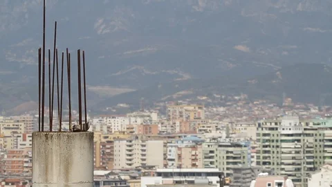 Pigeons sitting on a concrete column Vidéo 111577015