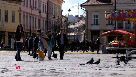 Pigeons on the square Stock Footage 76442623