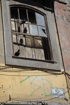 Pigeons standing on a broken window of an old building in Porto Stock Photos