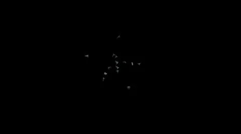 Pigeons take off Vídeo Stock 9821573