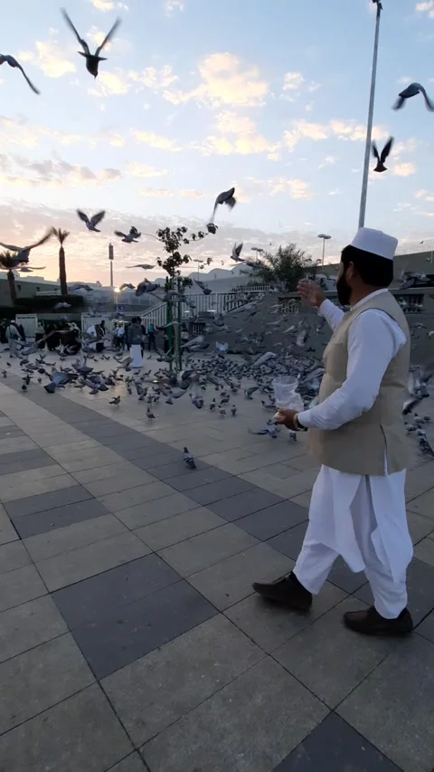 Pigeons Taking Flight Outside Masjid Quba Stock Footage 344061495