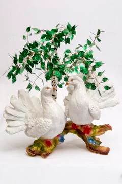 Pigeons under the birch Stock Photos
