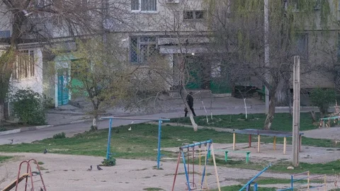 Pigeons walk around the yard with an empty playground Stock Footage 128016109