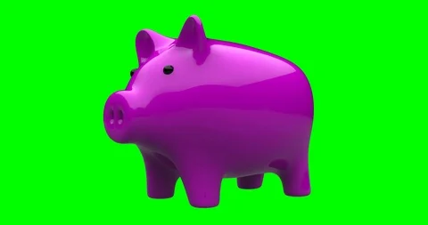 Piggy 4096 Stock Footage 125951983