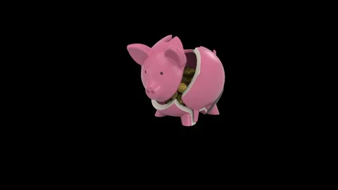 Piggy Bank Breaking Stock Footage 100538083