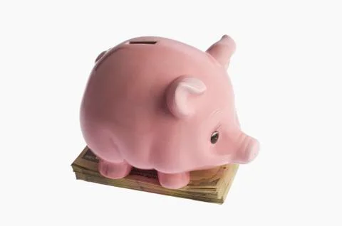 Piggy bank on a bundle of currency notes Foto stock