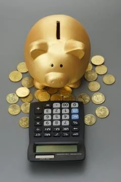 Piggy bank with calculator Stock Photos