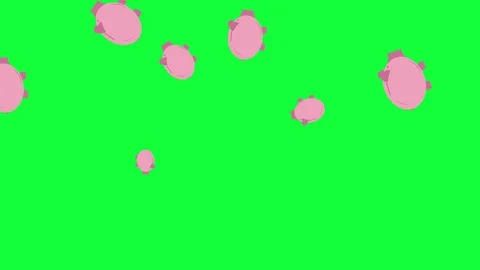 Piggy bank group elements short  animation green screen chroma key Stock Footage 129178502