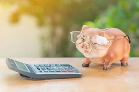 Piggy bank wear glasses focus calculator Concept of Budget, cost or investmen Stock Photos