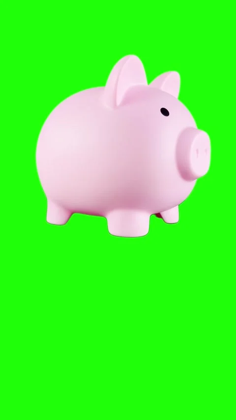 Piggy1 ver2 Stock Footage 306112553