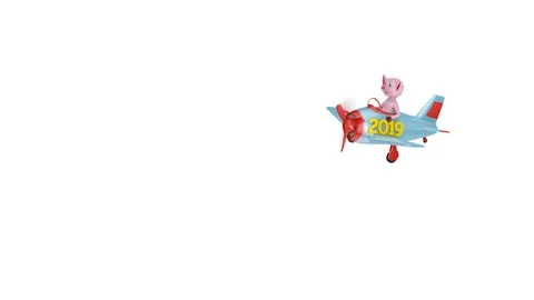 Piglet in airplane 2019 Stock Footage 89991044