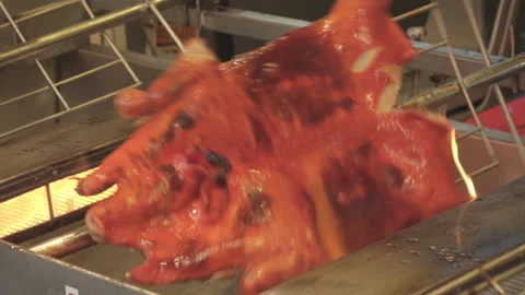 Piglets are being roasted on the stove by turning them around. Stock Footage 267732556