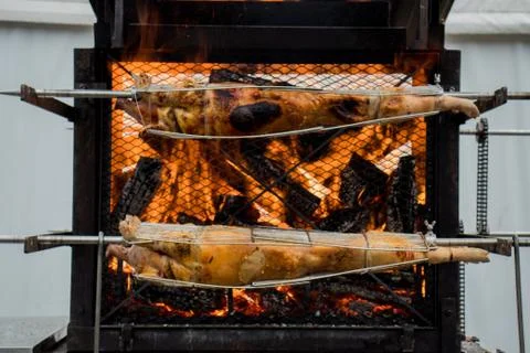 Piglets on a giant grill. Stock Photos