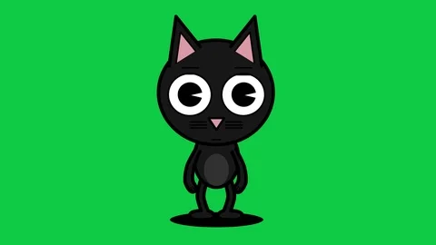 Pigro cat croma key Stock Footage 118885563