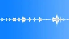 Pigs grunting screaming 04Sound Effect