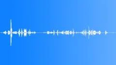 Pigs grunting screaming 05 Sound Effect