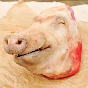 PIg's Head Stock Photos