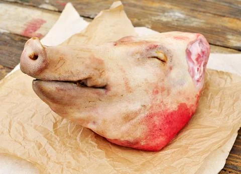 PIg's Head Stock Photos