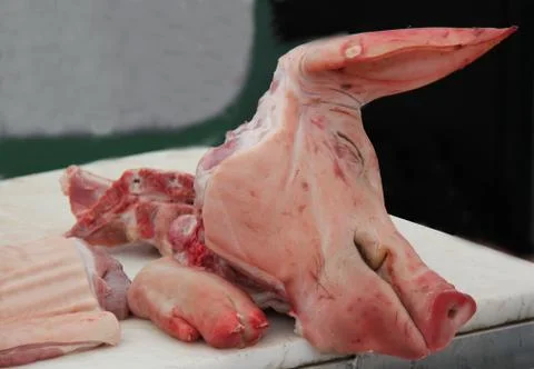 Pigs Head. Stock Photos