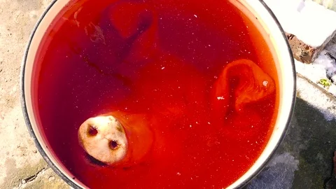 The pig's head is smiling Stock-Footage 78929156