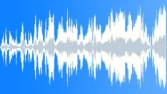Pigs screaming 01 Sound Effect