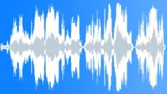 Pigs screaming 02 Sound Effect