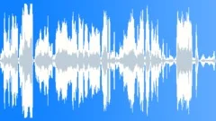 Pigs screaming 04Sound Effect