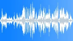 Pigs screaming 05 Sound Effect