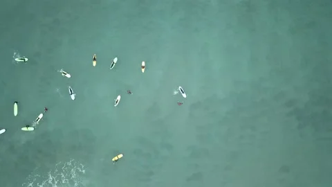 Piha Beach Surfers Stock Footage 208852917