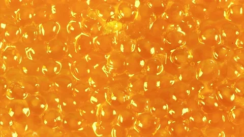 Pike caviar close-up. River fish caviar. Golden caviar delicacy. Video stock 168164914